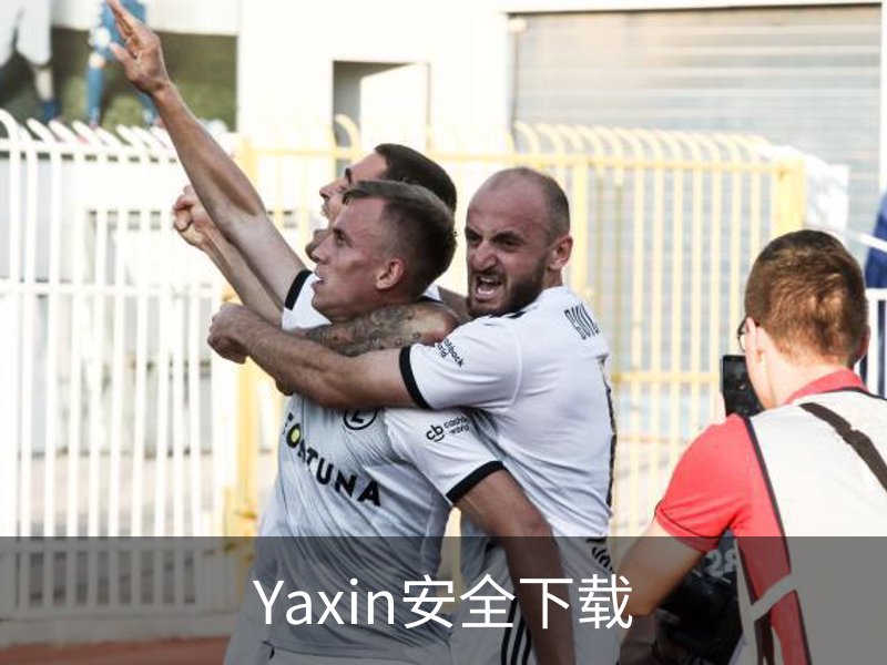 Yaxin安全下载介绍